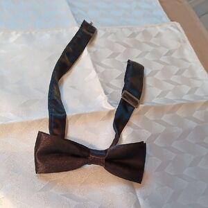 Elegant Men's Satin Black Bow Tie